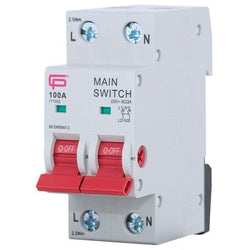 FuseBox TPN 100A 2P Mains Switch - IT1002