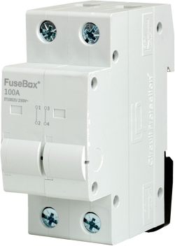 Fusebox 100A 2P Connector - IT1002U