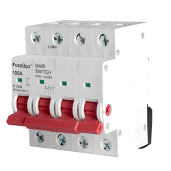 FuseBox TPN 100A 4P Mains Switch - IT1004