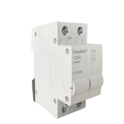 FuseBox TPN 125A 2P Connector - IT1252U