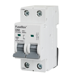 FuseBox TPN 50A D CURVE MCB 10kA 2P