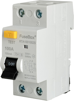 Fusebox Type A 100A 100Ma 2P Rcd S Type - RTA1001002S