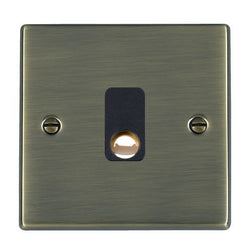 Hamilton Hartland 20A 1 Gang Flex Outlet - Antique Brass with Black Inserts  - 79COB